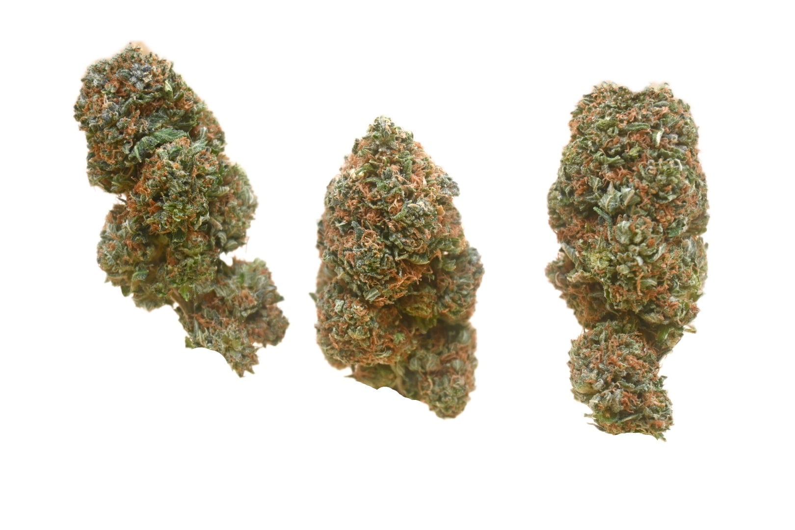 Rockstar buds 2