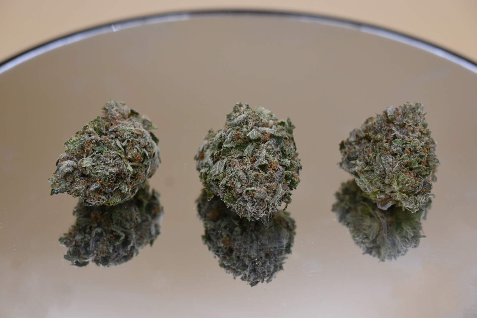 Rockstar mirror Jan 2025 1