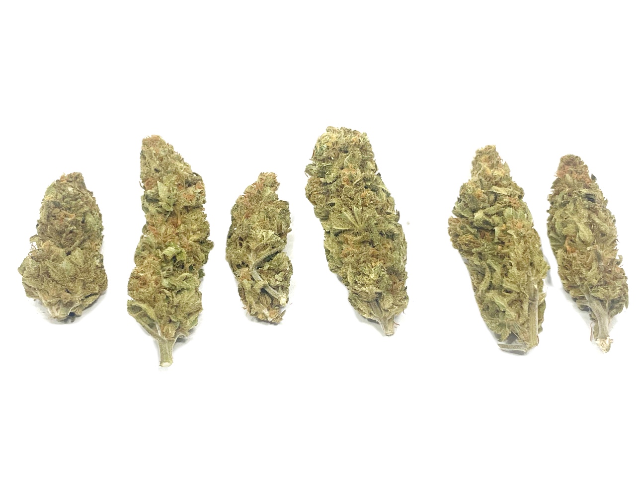 Blue Amnesia Haze buds Blue Amnesia Haze buds