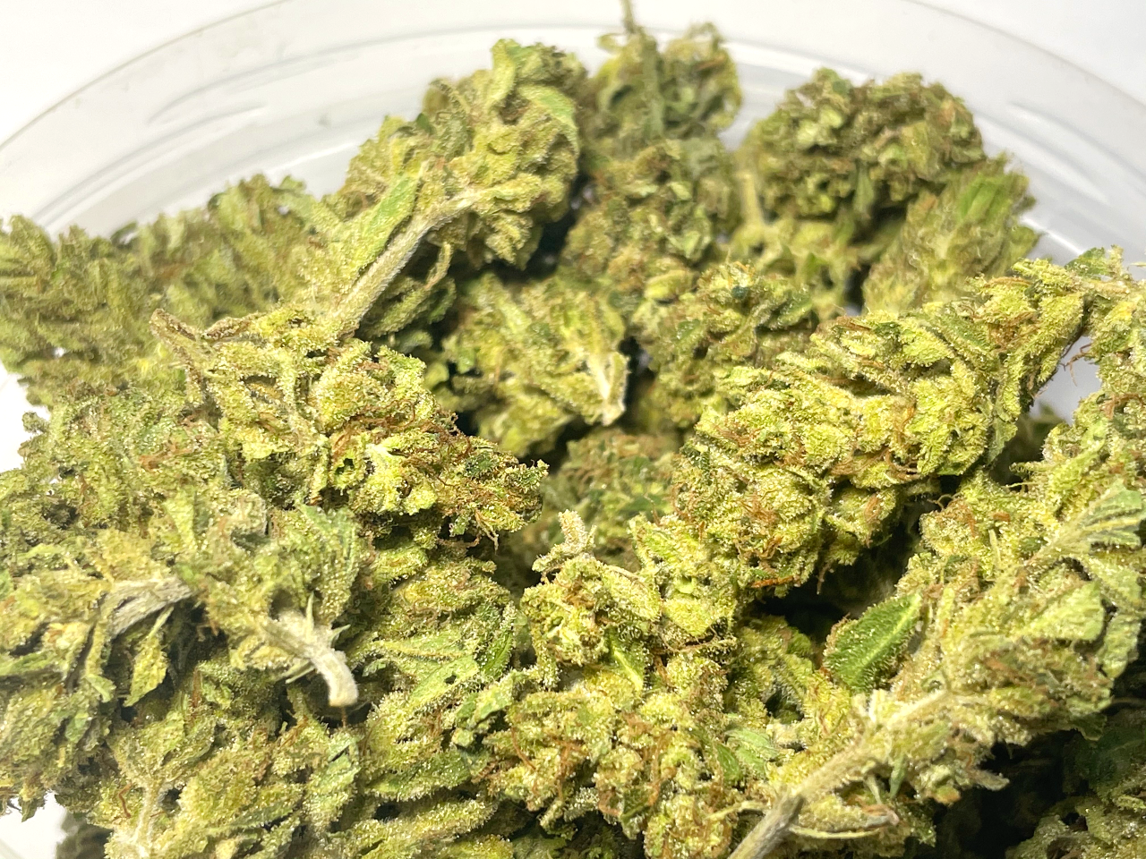 Durban Poison ounce Durban Poison ounce