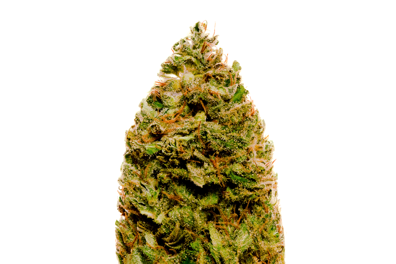 Durban Poison strain Elphinstone Farms Fall 2022 harvest Durban Poison strain