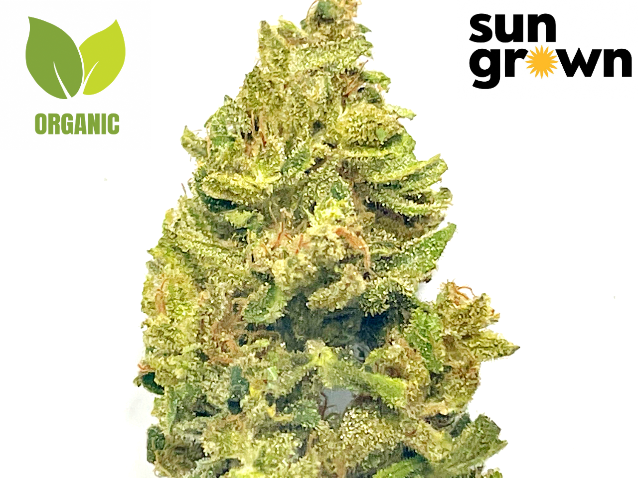 Durban Poison sun grown organic