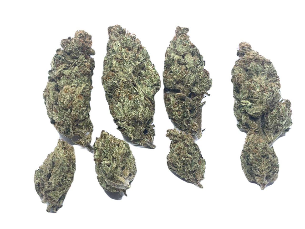 Blue Guava Buds Blue Guava buds