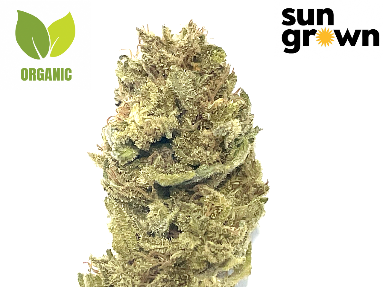Rockstar Tuna Strain Sun Grown Organic Organic Rockstar Tuna strain