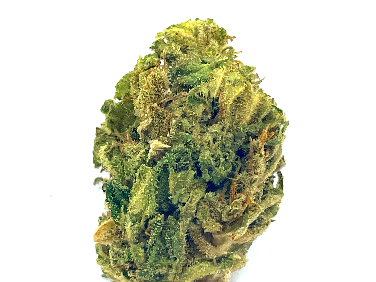 Organic Skywalker Strain Organic Skywalker Strain