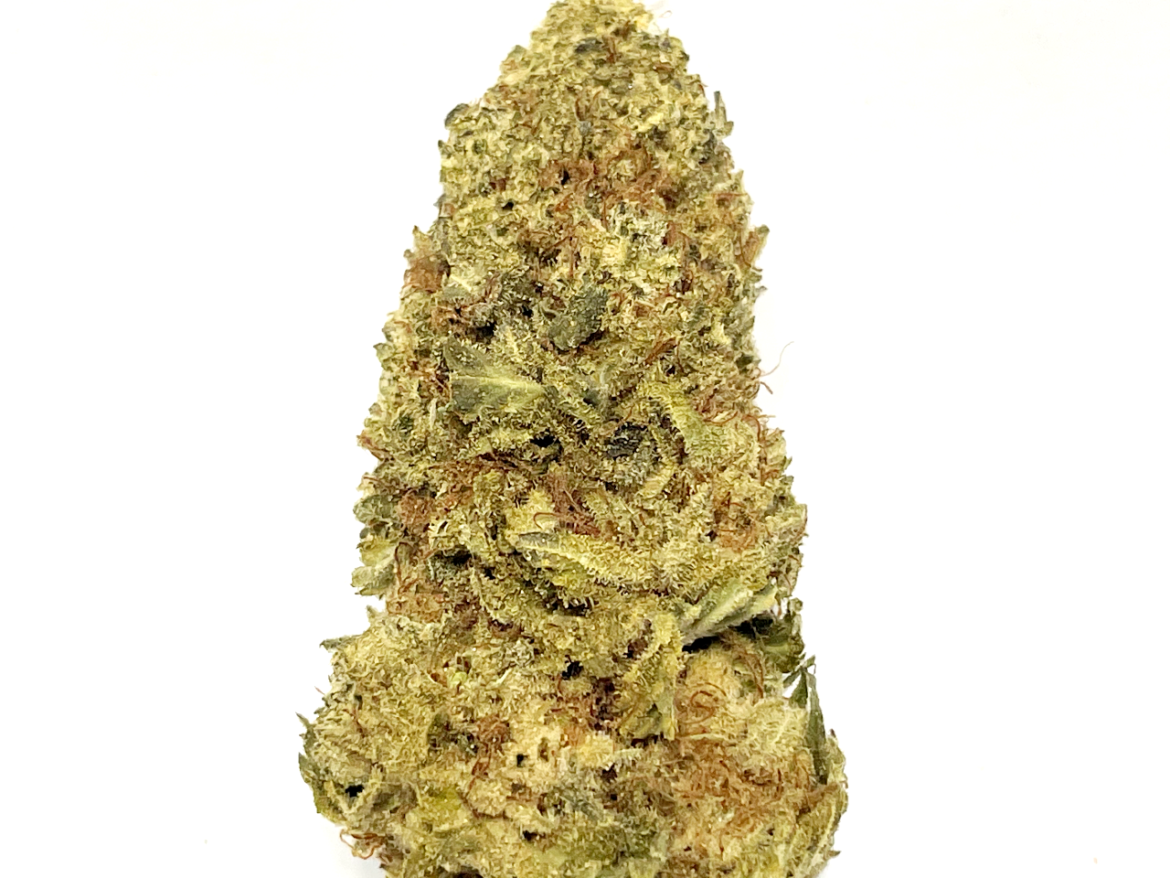 Bubble gum strain Bubble Gum strain