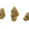Cindy 99 buds
