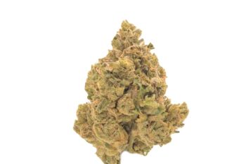 Pop Star strain