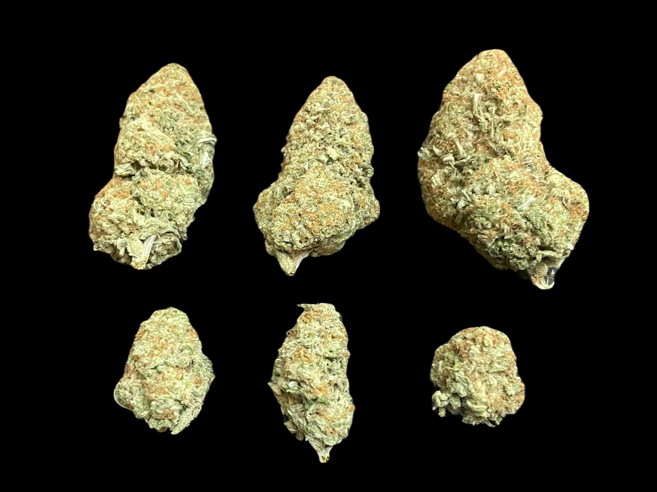 Silver Haze buds Silver Haze buds