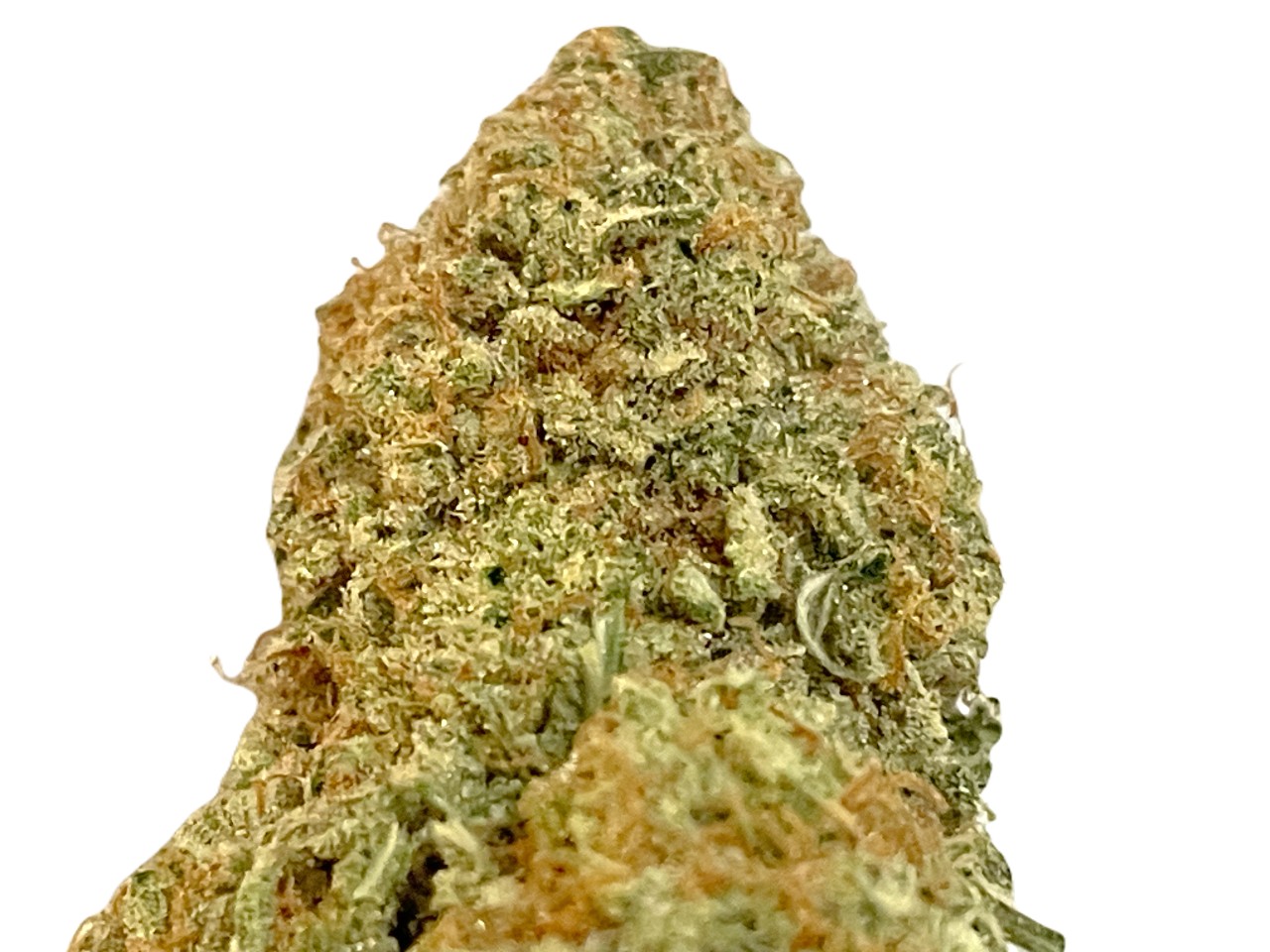 Silver Haze strain (1) Silver Haze strain