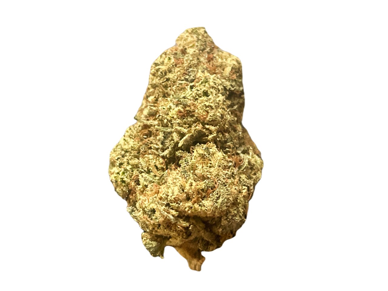 GMO cookies GMO Cookies strain