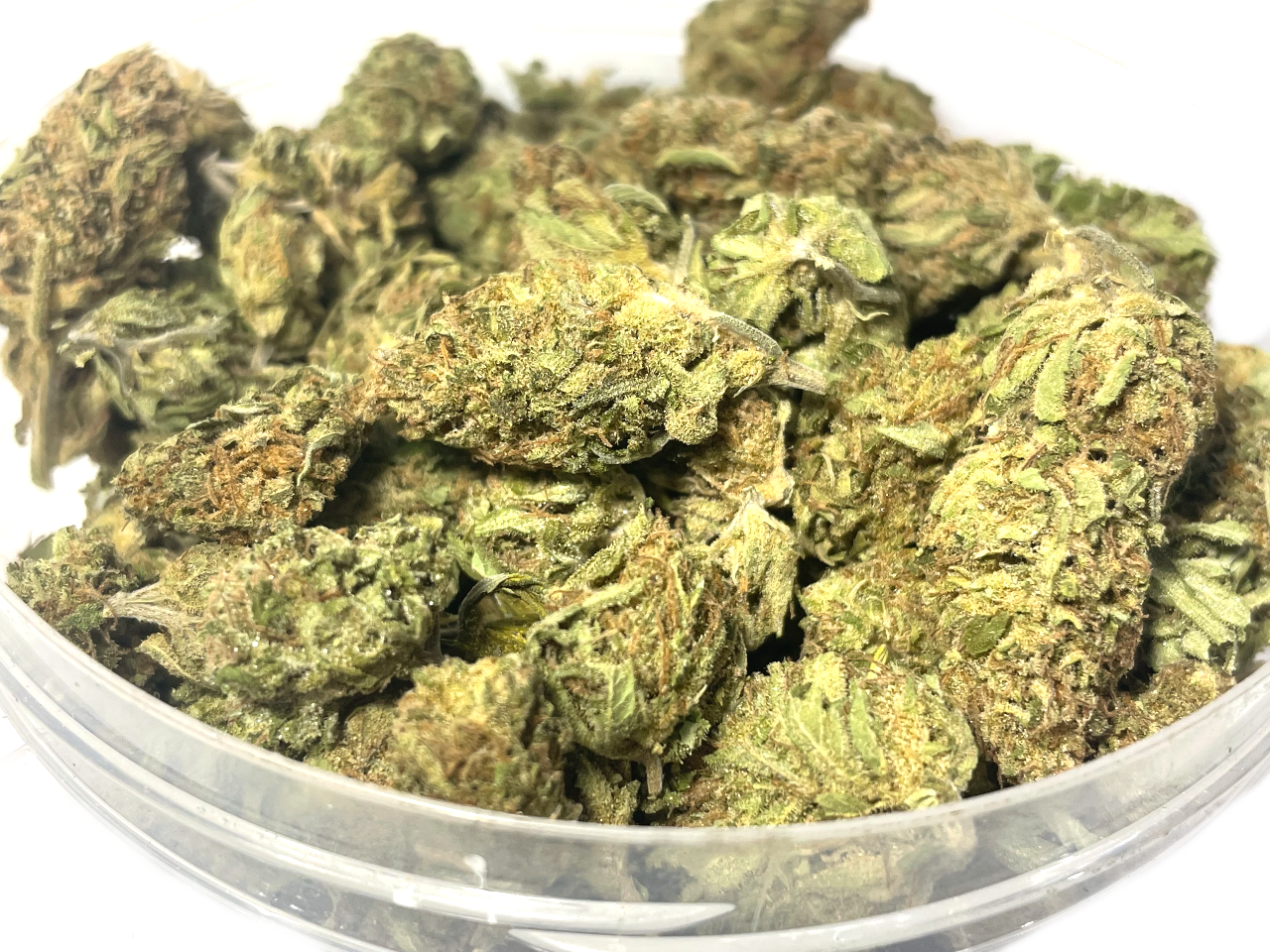 GMO smalls GMO smalls