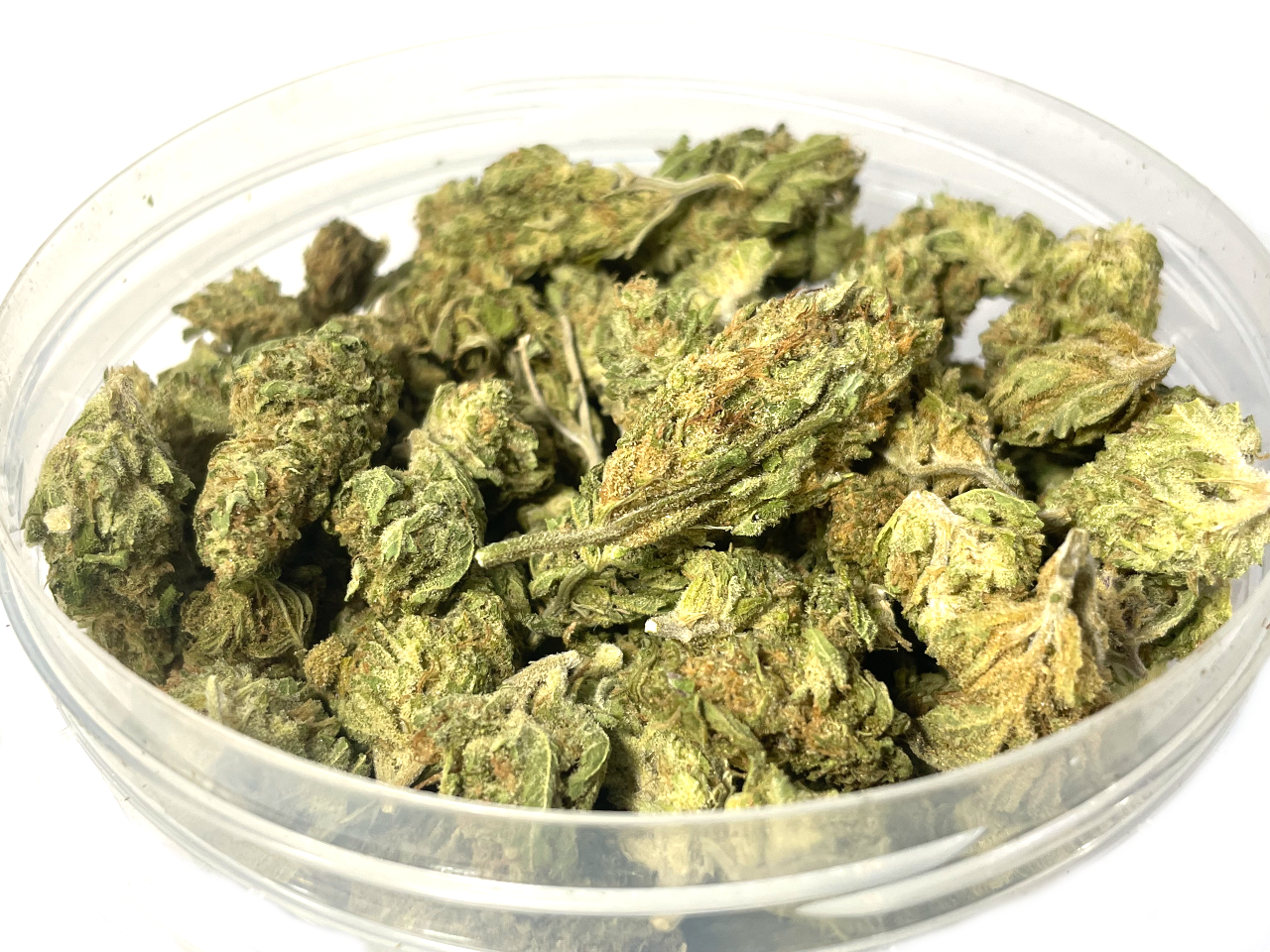 White Widow smalls White Widow smalls