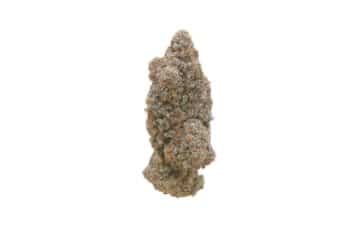 Blue Dream strain
