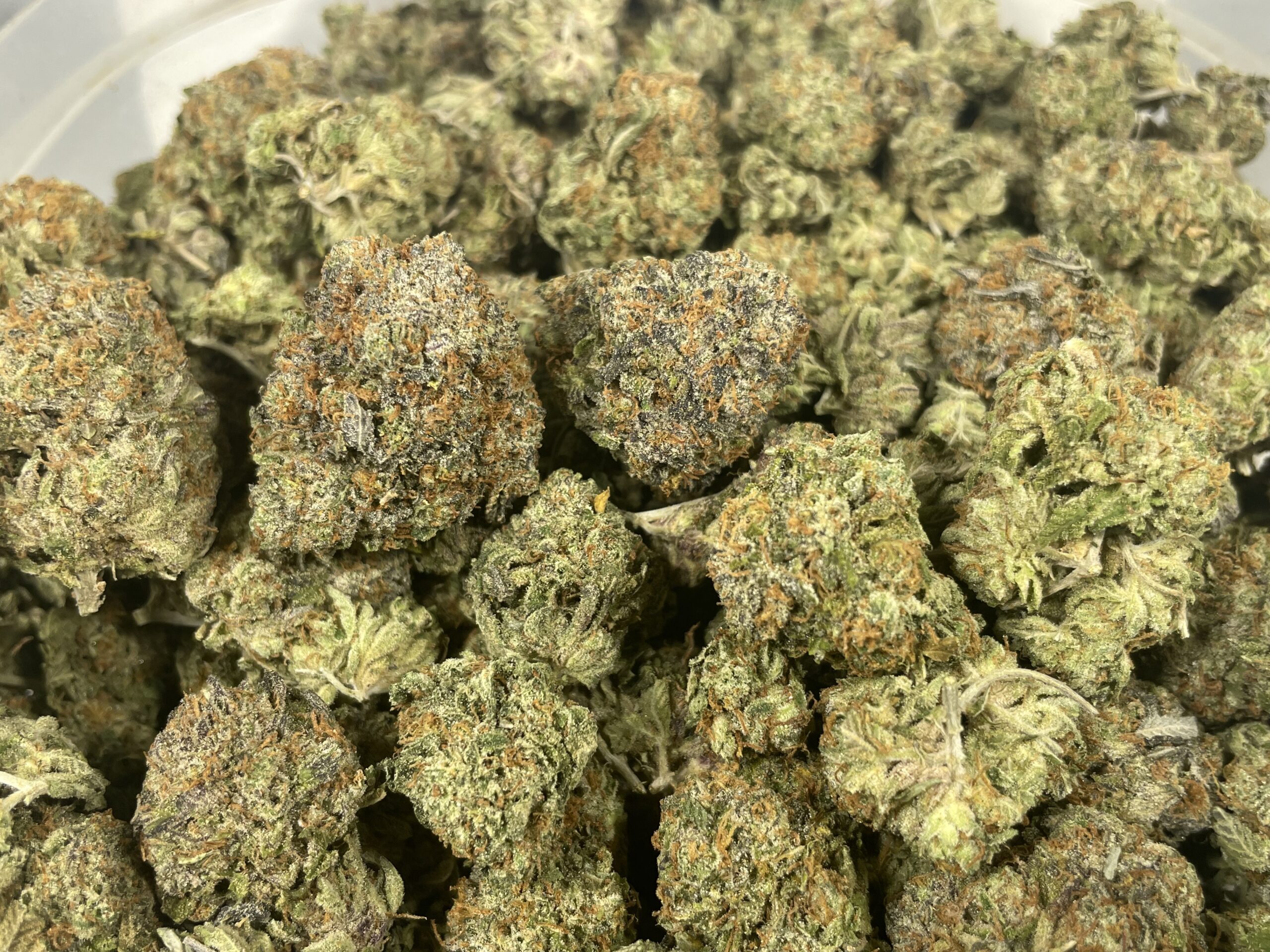 Greasy Pink ounce Greasy Pink ounce