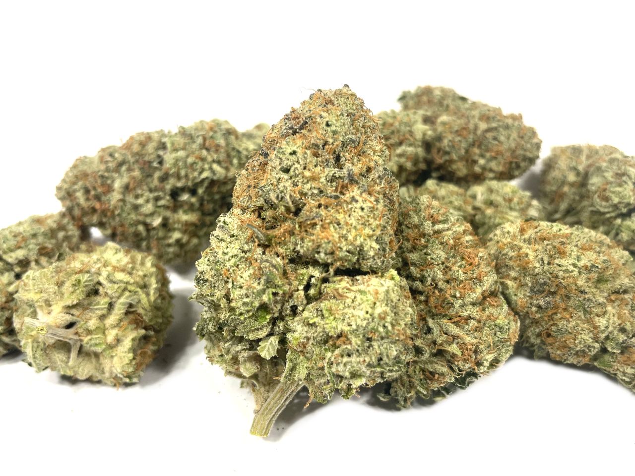 Mandarin Cookies buds Mandarin Cookies strain