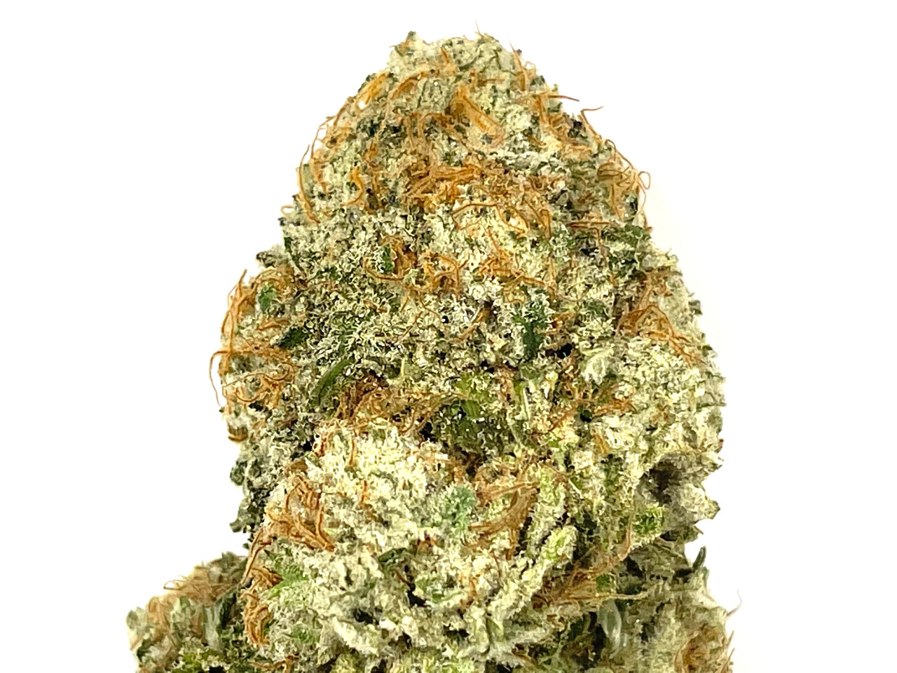 Mandarin Cookies strain AAAA (1) Mandarin Cookies strain