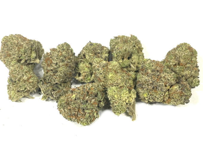 Northern Lights buds