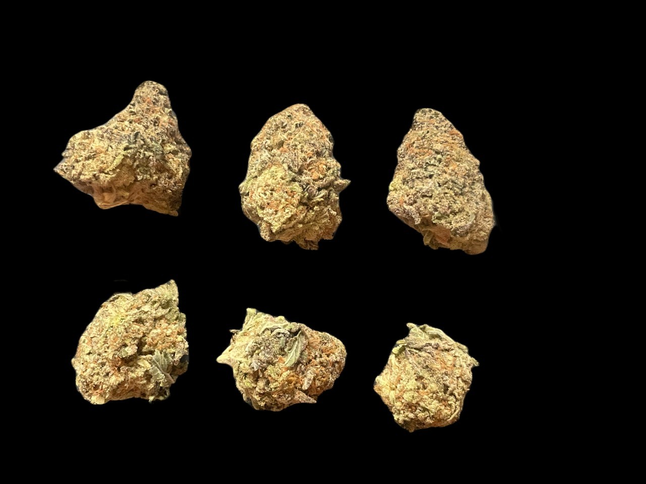 Northern Lights buds Northern Lights buds