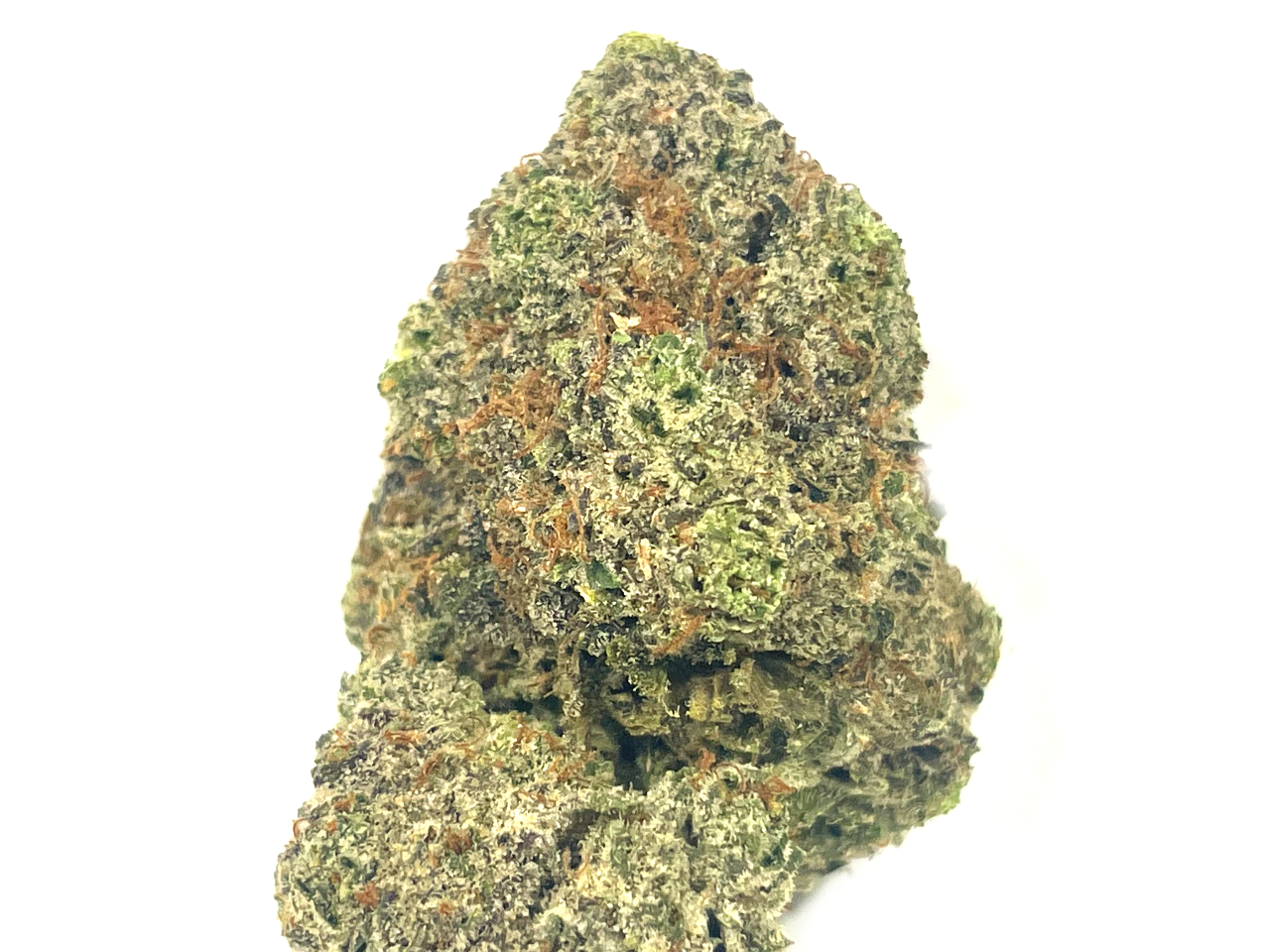 Northern Lights strain AAAA Northern Lights strain AAAA