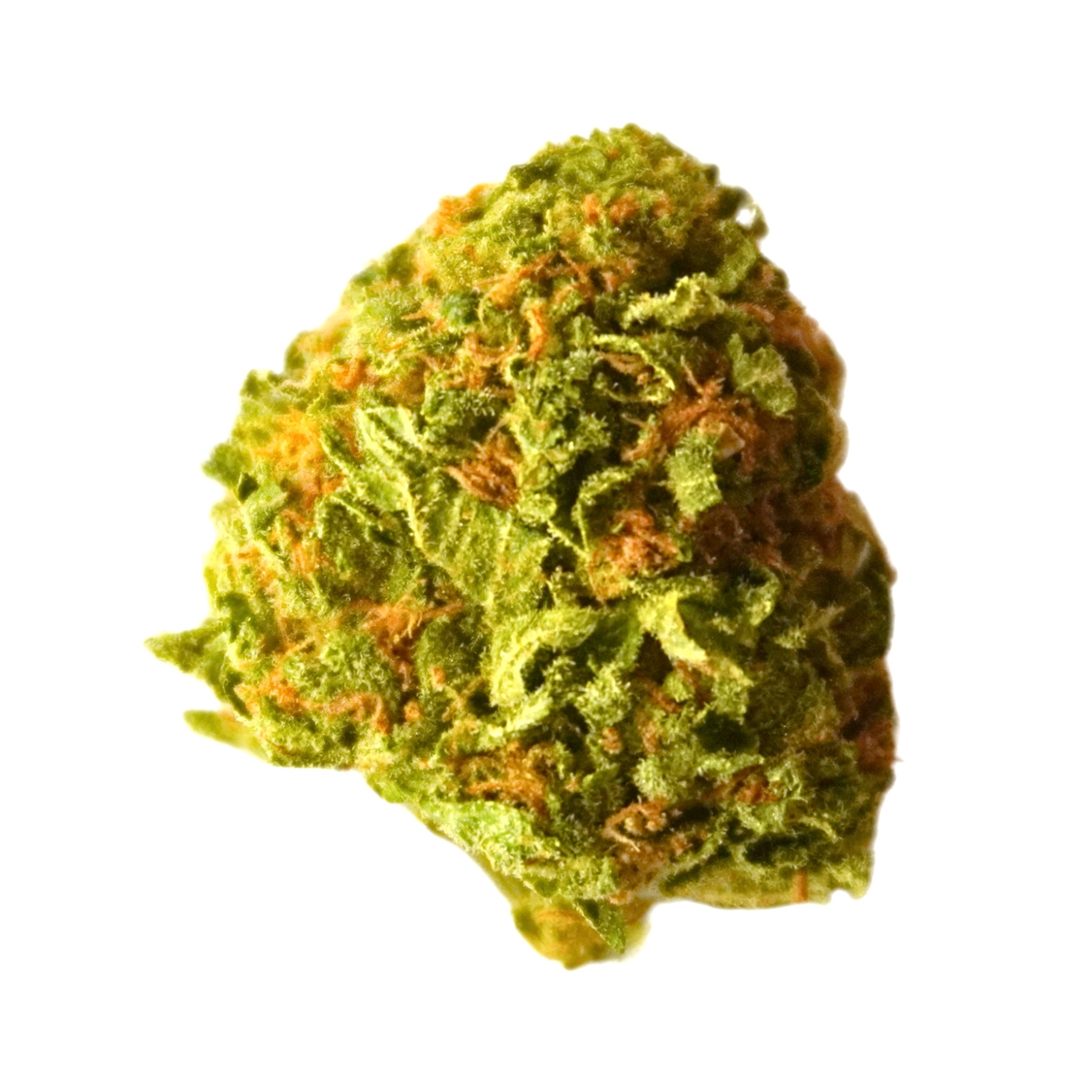 Pink Kush AAA January 2024 Canada Wide Weeed Pink Kush AAA January 2024 Canada Wide Weed