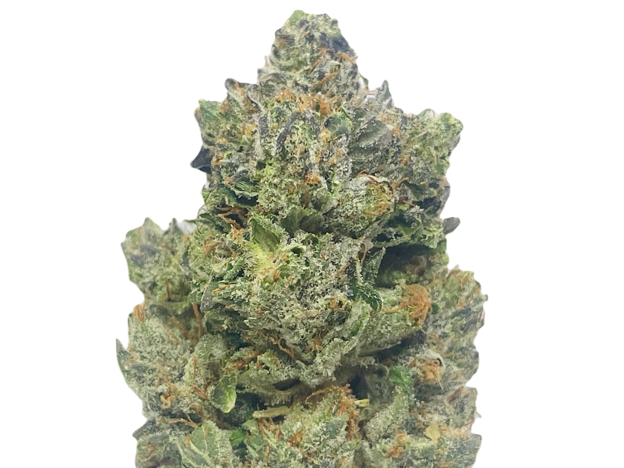 Pink Kush AAAA vancouver weed delivery