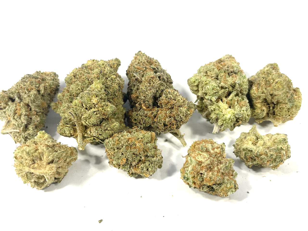 Blue Gelato Buds 2 Blue Gelato buds