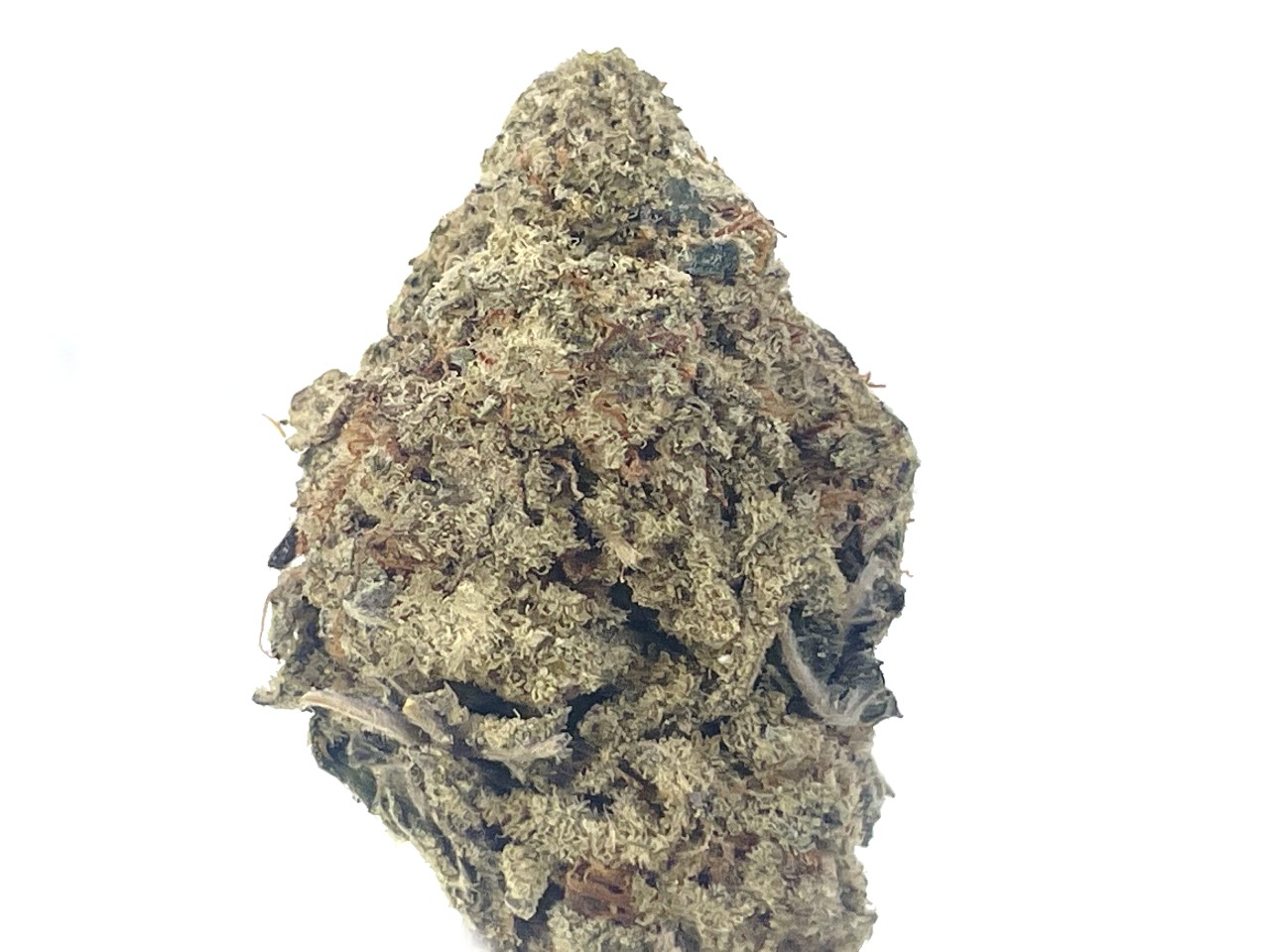 Girl Scout Cookies $99 ounce bud Girl Scout Cookies $99 ounce