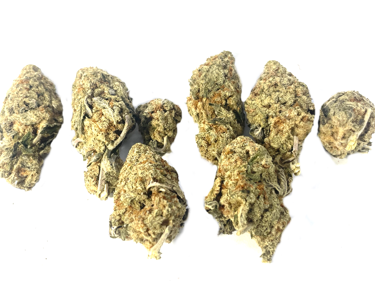 Girl Scout Cookies - $99 ounce Girl Scout Cookies 99 ounce