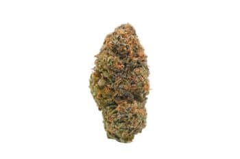 Girl Scout cookies strain