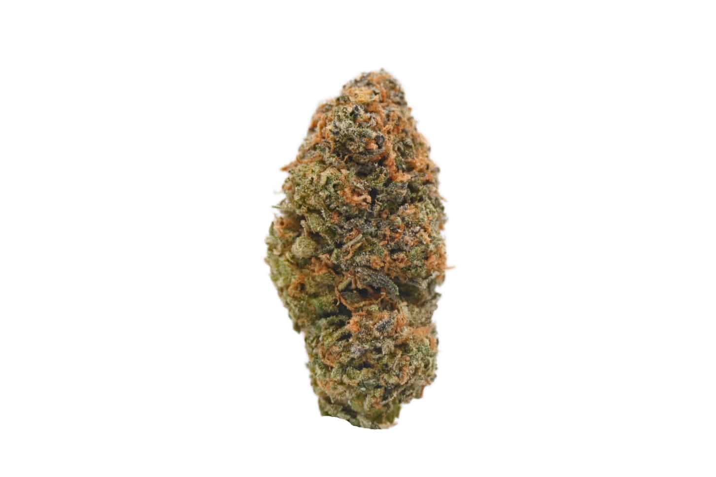 Girl Scout Cookies bud2 Girl Scout cookies strain