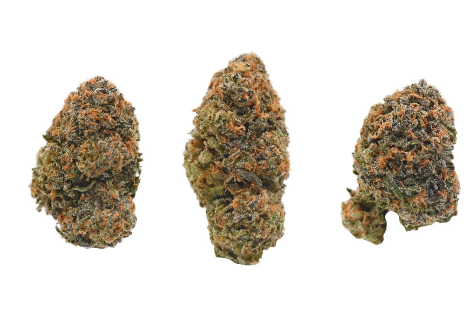 Girl Scout Cookies buds (03.26) Girl Scout Cookies buds 03.26