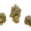 Rockstar Tuna buds