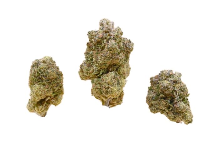 Rockstar Tuna buds