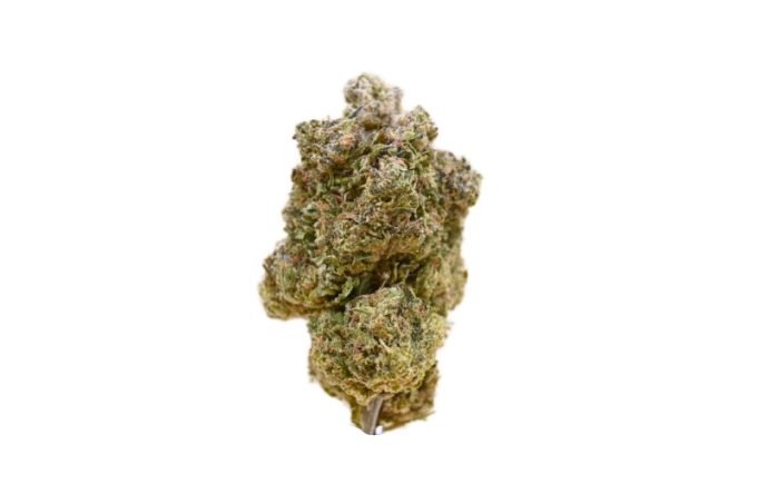 Rockstar Tuna strain