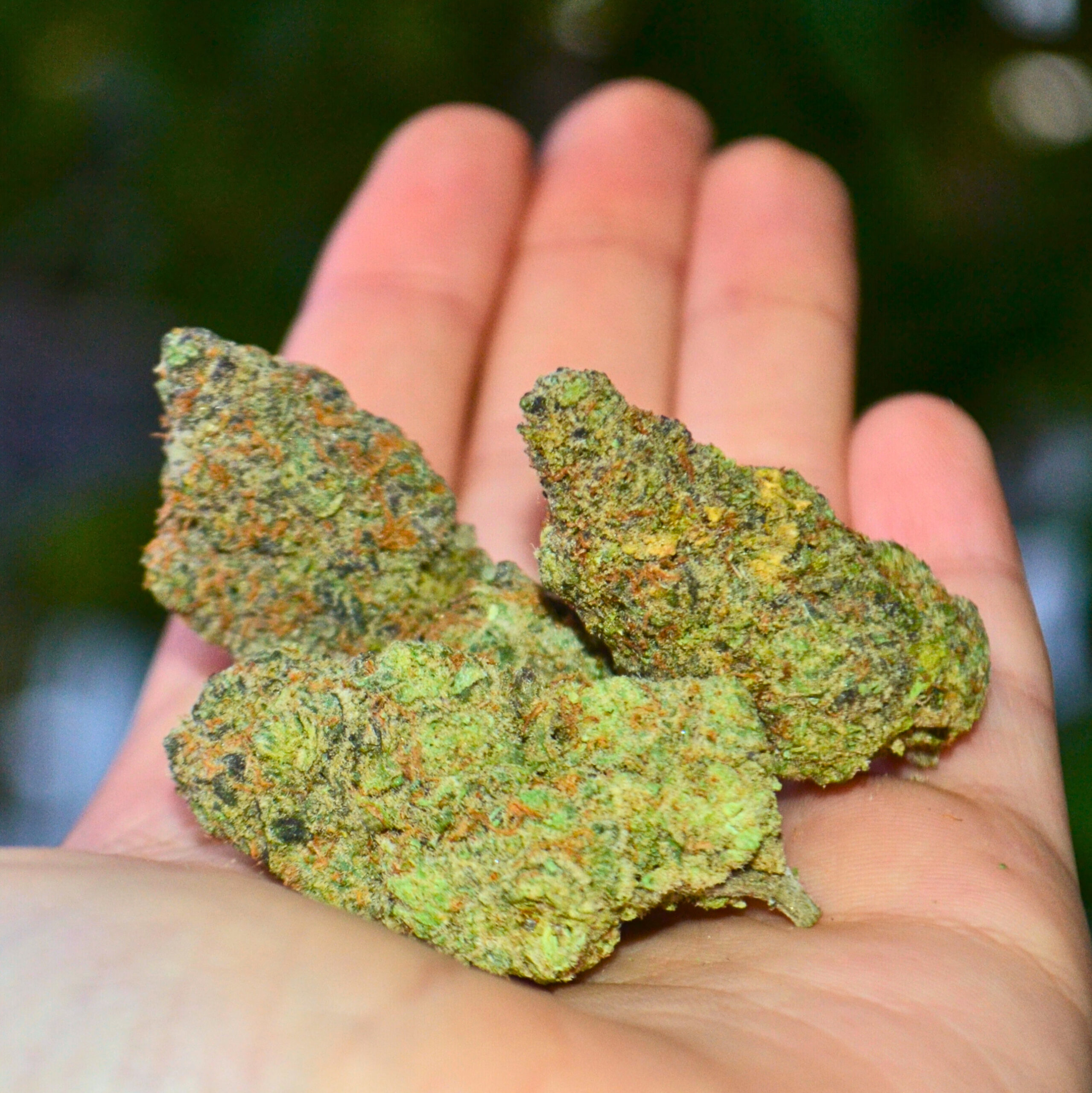 7e9902e7-07e1-4d1f-81fd-3f805fca24ba 7e9902e7 07e1 4d1f 81fd 3f805fca24ba scaled