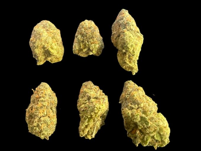 Lemon Haze buds