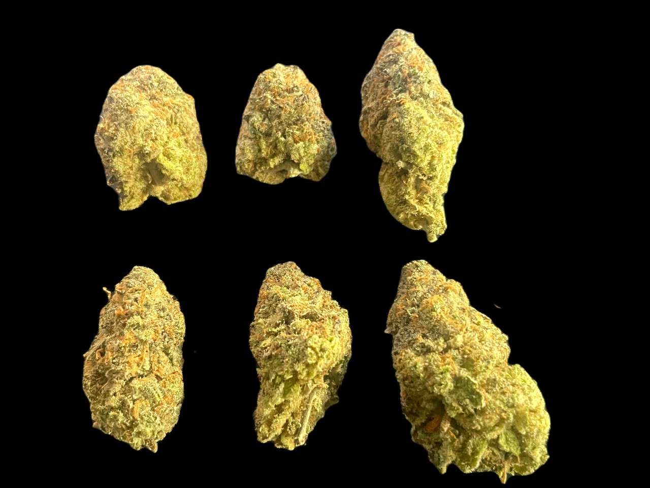 LEMON HAZE BUDS Lemon Haze buds
