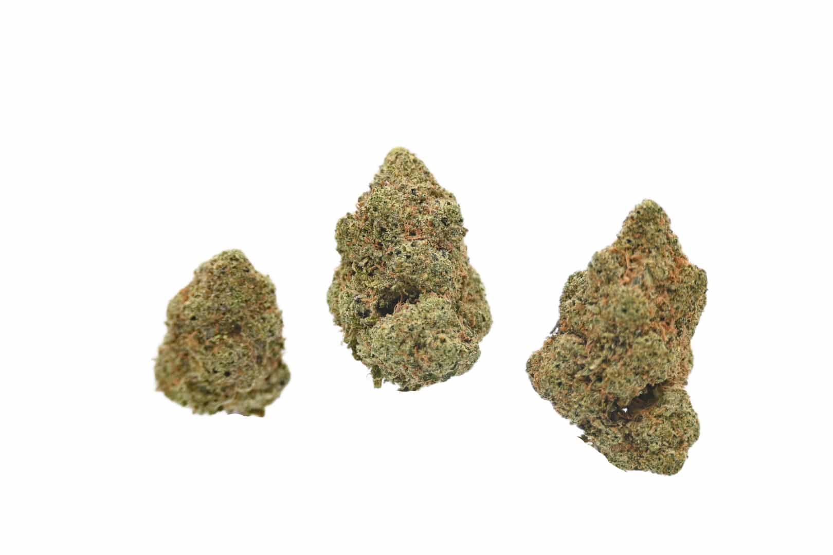 Lemon Haze buds 03.26