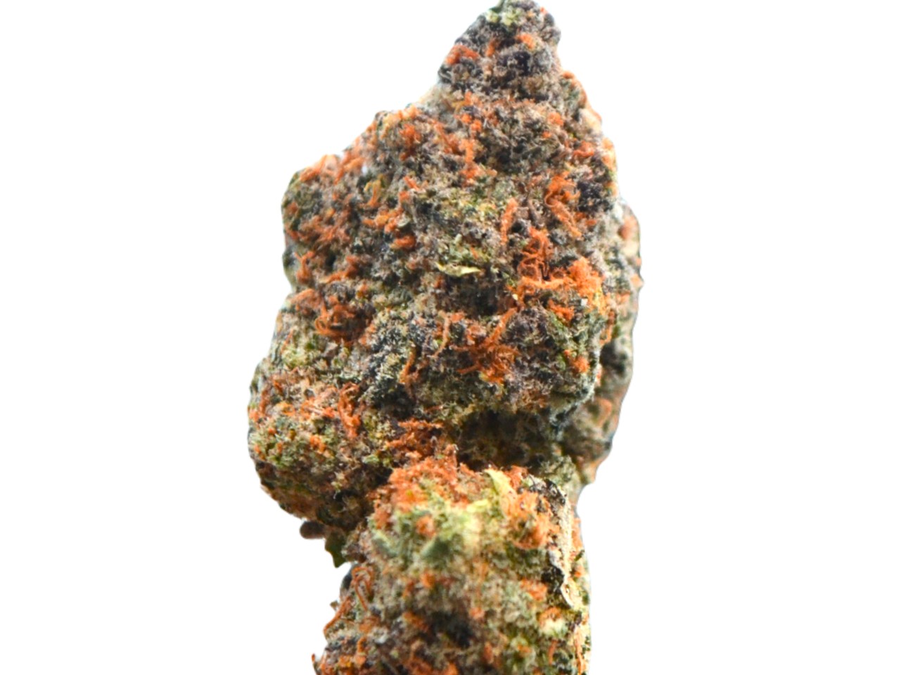 Lemon Haze strain Canada Wide Weed for sale online mail order marijuana Lemon Haze strain Canada Wide Weed for sale online mail order marijuana