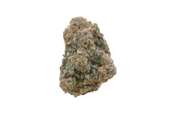 Lemon Haze strain