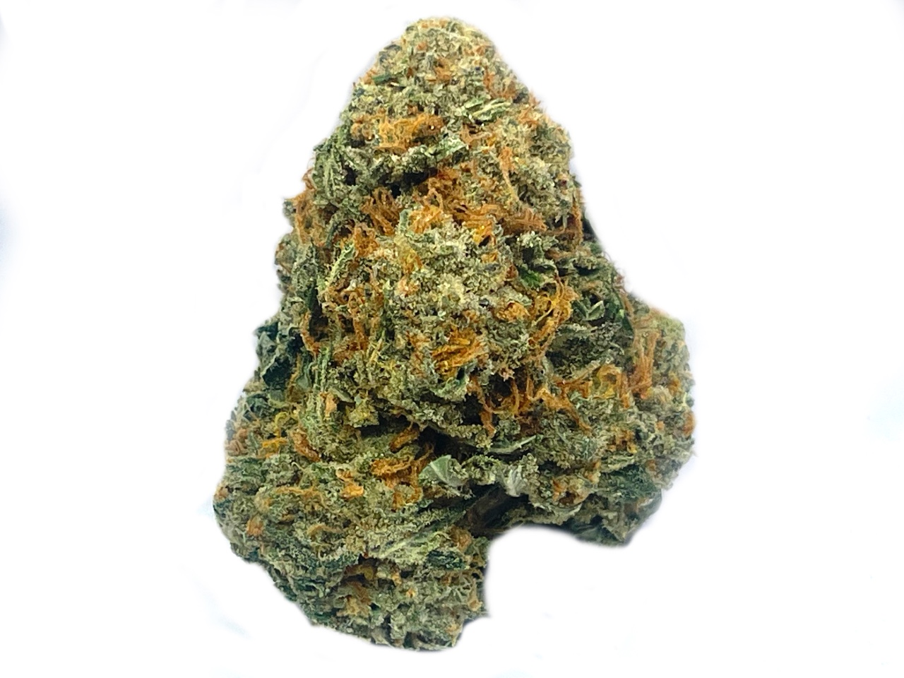 Golden Goat strain