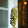 Sour face