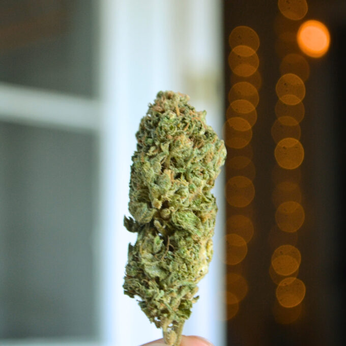 Sour face