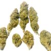 Sour Face buds