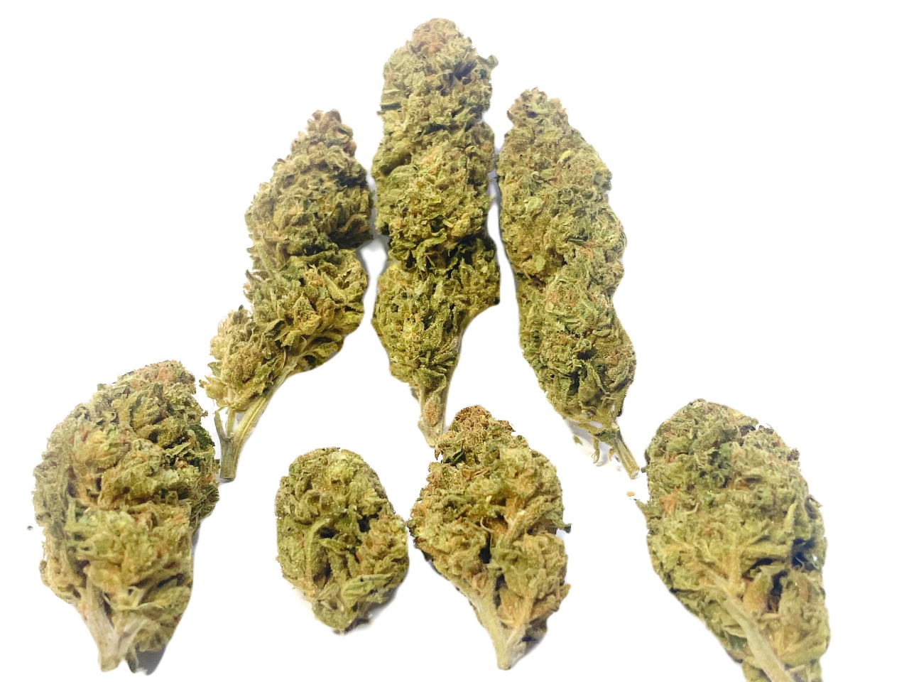 Sour Face buds Sour Face buds