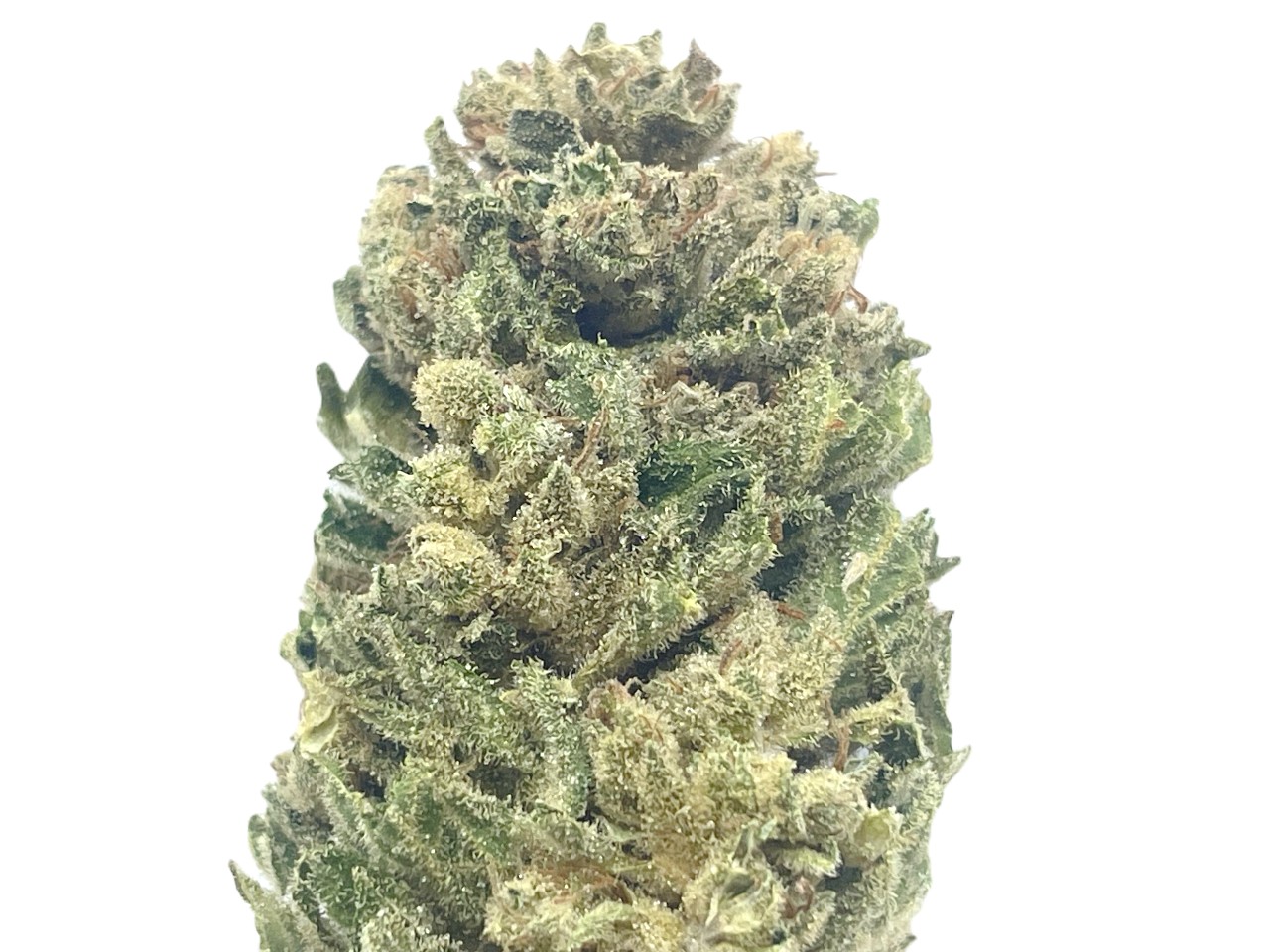 Tangerine Dream (1) Tangerine Dream