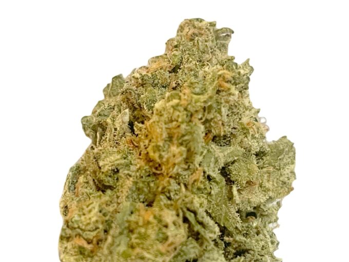 Runtz strain