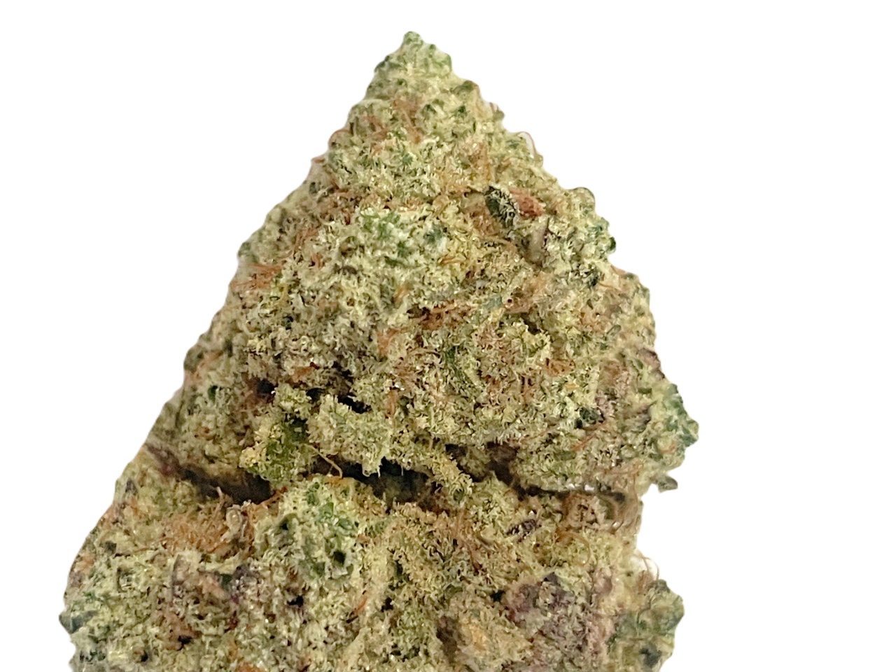 Ice Cream Cake strain Ice Cream Cake strain