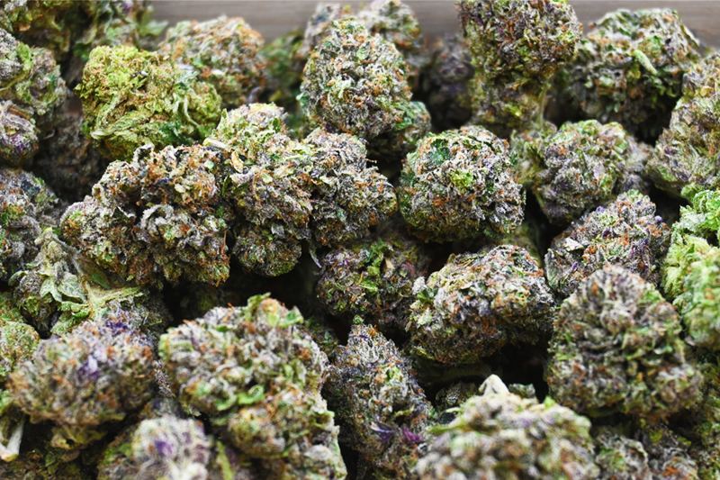 KINGS KANDY BUD GROUP SHOT1